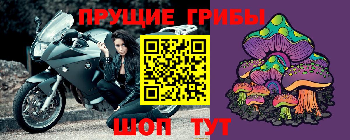 купить наркотики сайты  Псилоцибиновые грибы прущие грибы  Вход с VPN  Саранск 